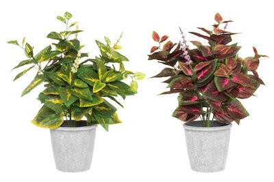 4Living Isokirjopeippi tekokasvi 40 cm viininpunainen
