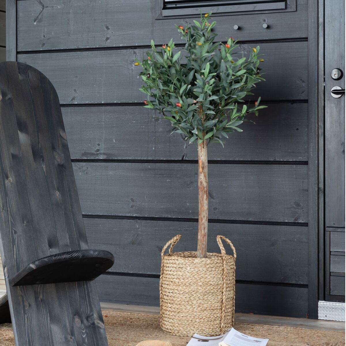 House Nordic oliivipuu