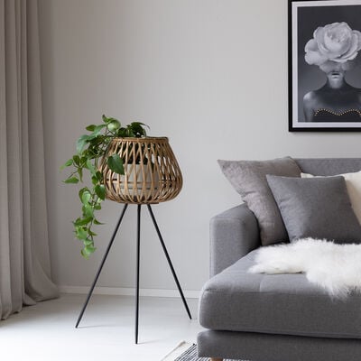 Kielo kukkateline iso musta