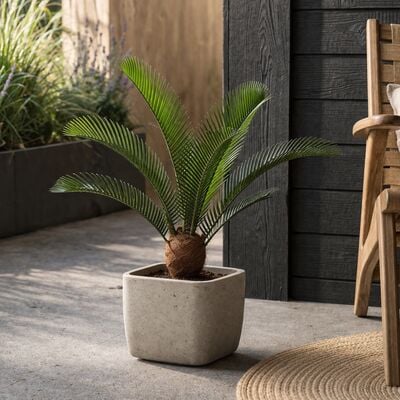 Käpypalmu tekokasvi 50 cm