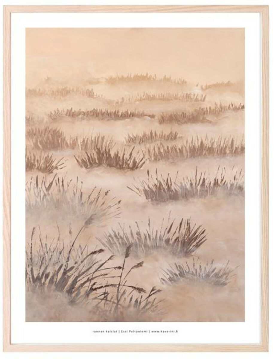 Kaverini Rannan kaislat juliste 50x70 cm