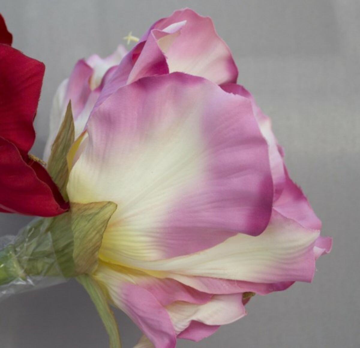 Silkkikasvit Amaryllis rose