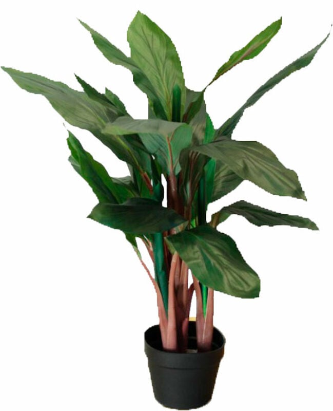 Verililjapuu Cordyline silkkikasvi 85 cm tumma