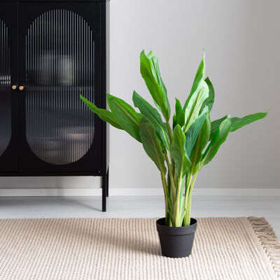 Verililjapuu Cordyline tekokasvi 85 cm tumma