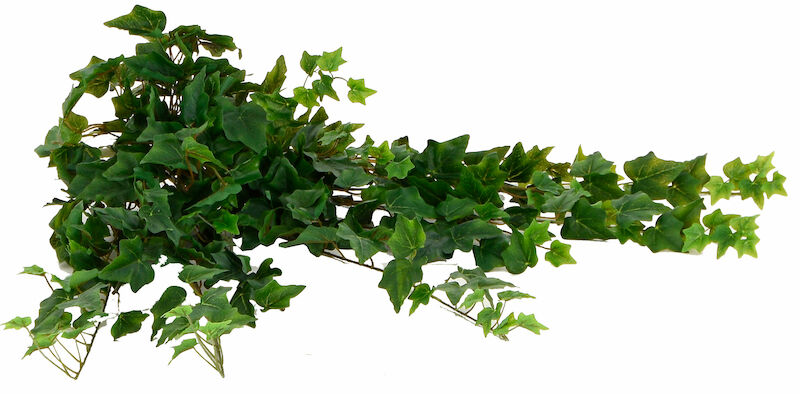 Ivy English Bush iso muratti tekokasvi