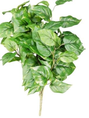 Kultaköynnöspensas tekokasvi 50 cm