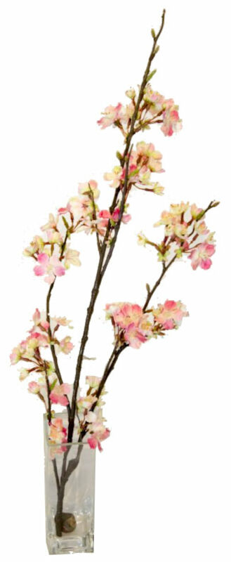 Kirsikka oksa tekokasvi