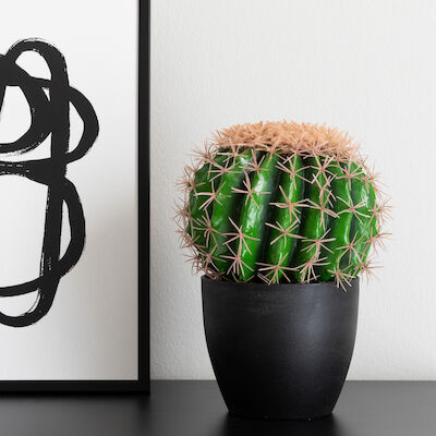 Anopinjakkara kaktus 26 cm tekokasvi ruukussa