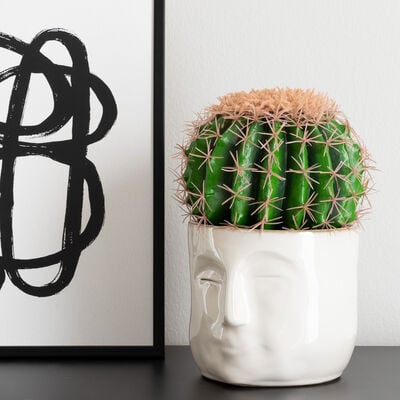 Anopinjakkara kaktus 26 cm tekokasvi ruukussa