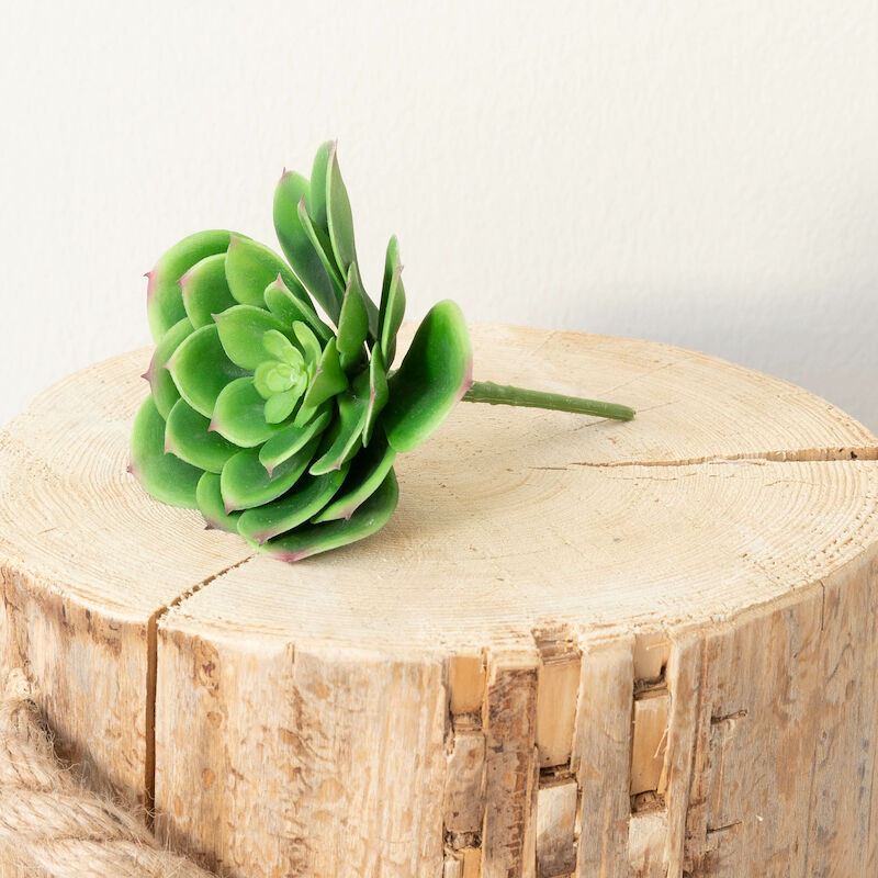 Mehitähti Echeveria tekokasvi vihreä