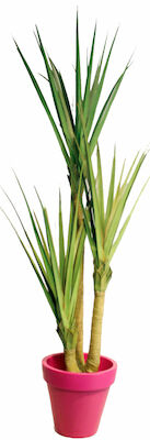 Pandanus kairapalmu tekokasvi 215 cm
