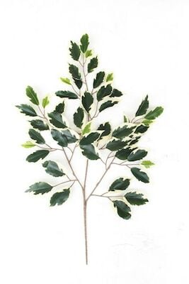 Limoviikuna oksa tekokasvi kirjava