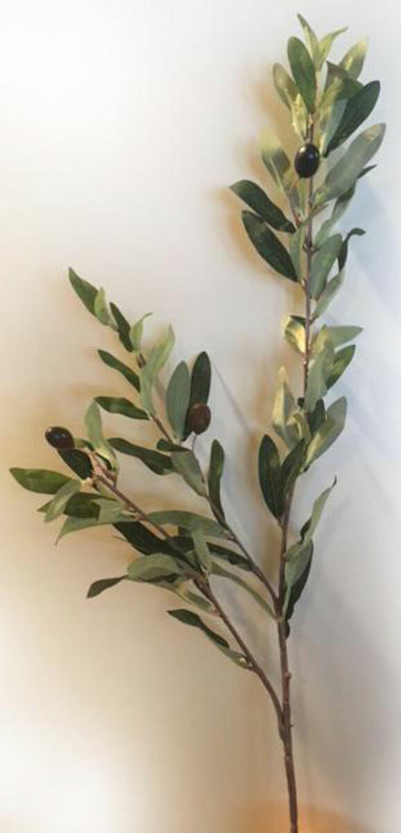 Silkkikasvit Oliivipuun oksa tekokasvi