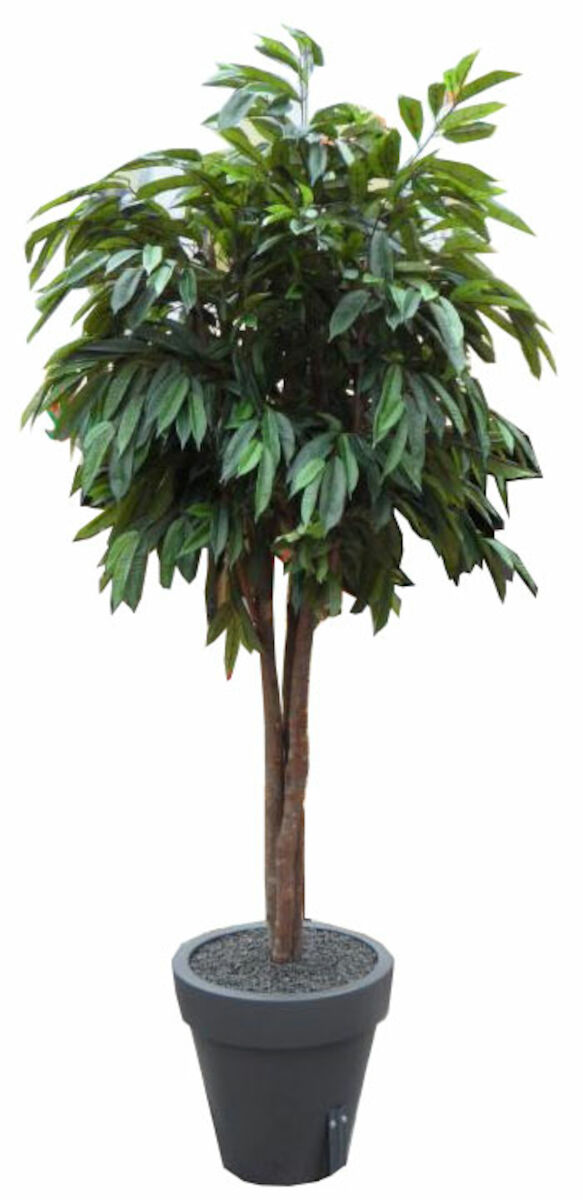 Ficus Amstel pitkälehtiviikunapuu tekokasvi 280 cm