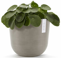 Ecopots Oslo ruukku 25 cm taupe
