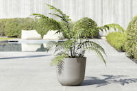 Ecopots Oslo ruukku 25 cm taupe
