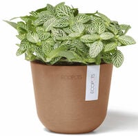 Ecopots Oslo mini ruukku Ø11,5 cm terrakotta