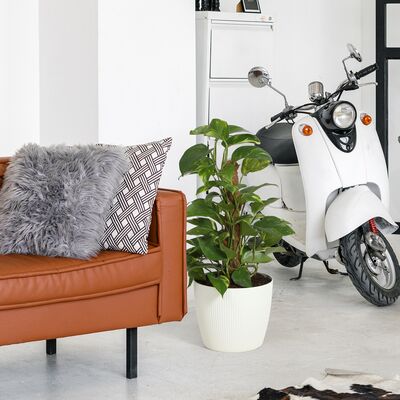4Living Magnolia ECO ruukku Ø30 cm ruskea