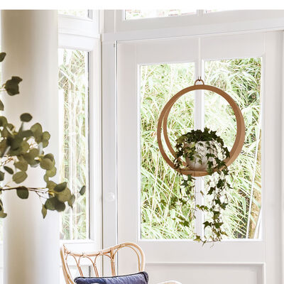 Pihla amppeli ripustettava 36 cm koivu