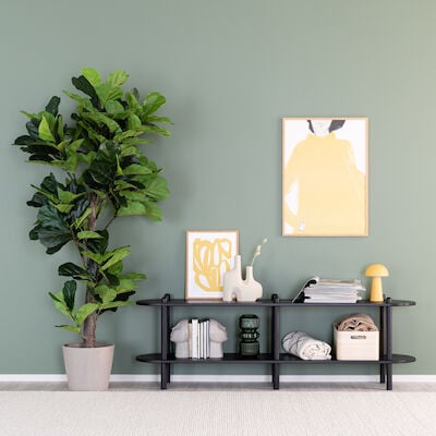 Askel korkea tv-taso 165x35x53,5 cm hiili