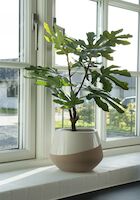 House Nordic viikunapuu tekokasvi 53 cm vihreä
