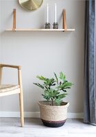 House Nordic viikunapuu tekokasvi 53 cm vihreä