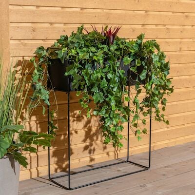 Kallas kukkateline greige