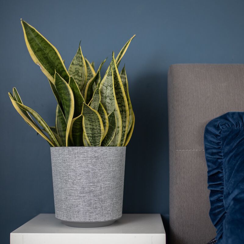 4Living Gama Textil ruukku Ø25 cm harmaa