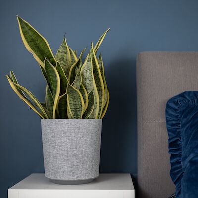 4Living Gama Textil ruukku Ø25 cm harmaa