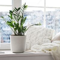 4Living Gama Textil ruukku Ø25 cm luonnonvalkoinen