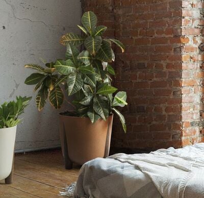 4Living Frida ECO ruukku Ø26 cm ruskea