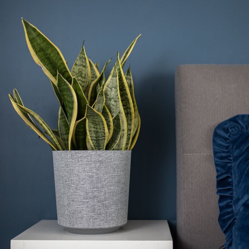 4Living Gama Textil ruukku Ø30 cm harmaa