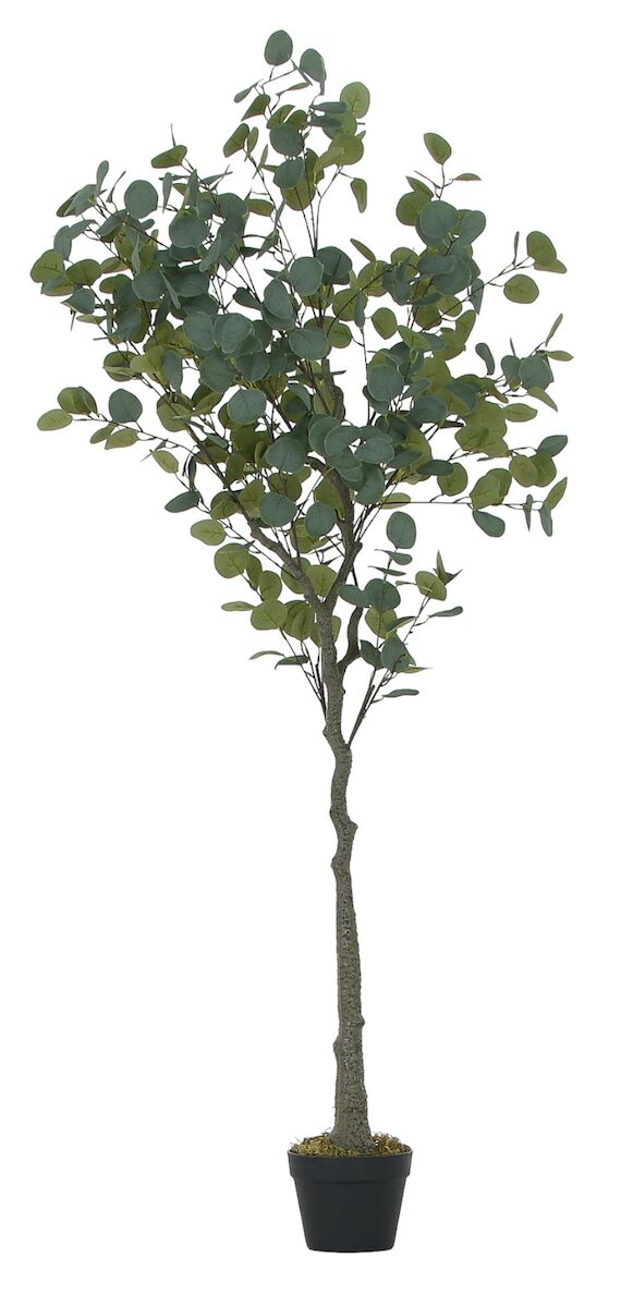 Eukalyptus tekokasvi 165 cm vihreä