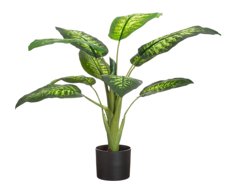 4Living kirjovehka ruukussa 90 cm