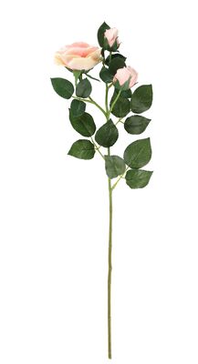 4Living ruusuoksa 63 cm fuksia
