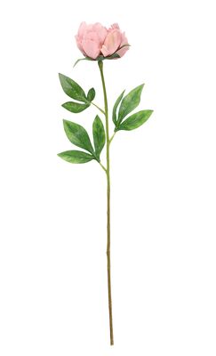 4Living pioni 60 cm vaalea malva