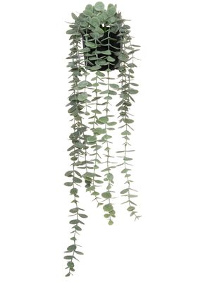 4Living riippuva mehikasvi ruukussa 58 cm