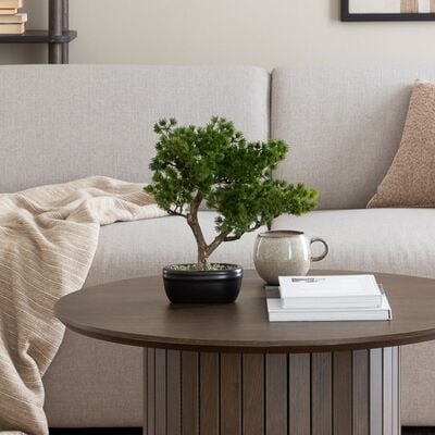 4Living Bonsai Mänty tekokasvi