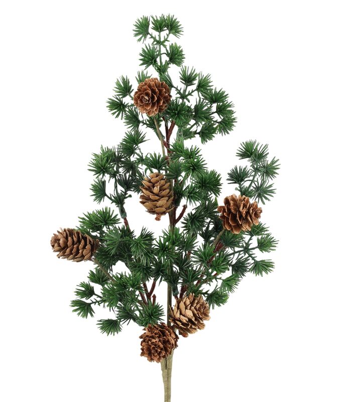 Winteria Havuoksa kävyillä 50 cm