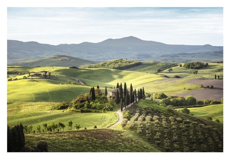 Canvas taulu Toscana 80x120 cm