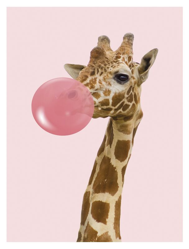 Canvas taulu kirahvi 40x50 cm