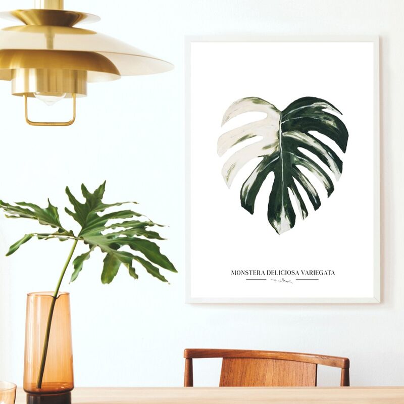 Kaverini Monsteran lehti juliste 50x70 cm