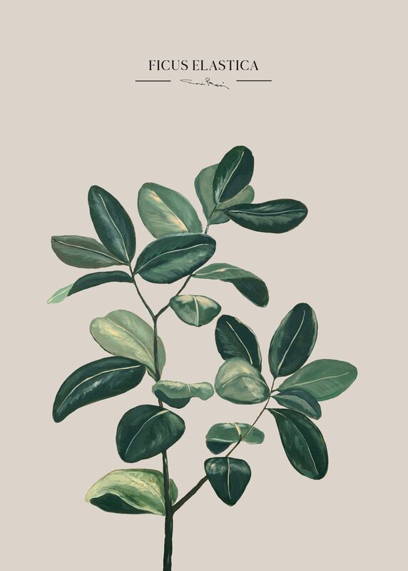 Kaverini Kumiviikuna juliste