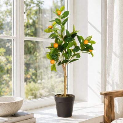 4Living Kääpiösitrus ruukussa 75 cm vihreä/oranssi