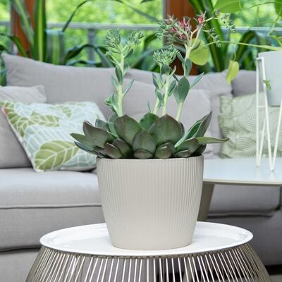 4Living Magnolia Jumper ruukku 19 cm vihreä