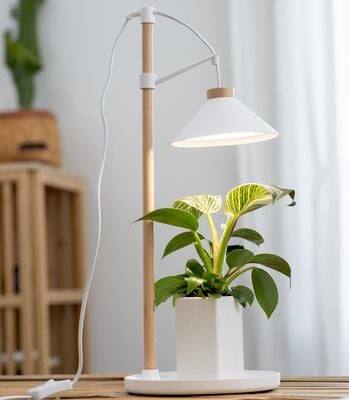 Airam Lily LED kasvivalaisin valkoinen/puu