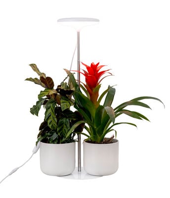 Airam Ivy LED kasvivalo valkoinen