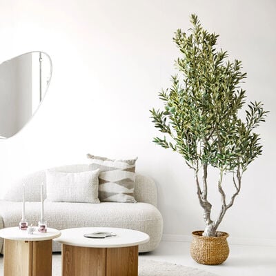 House Nordic Oliivipuu tekokasvi 220 cm vihreä